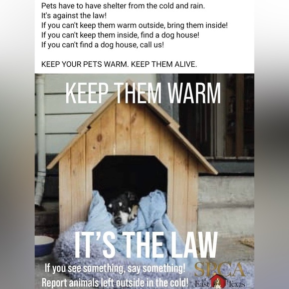 BE A GOOD HUMAN & BE KIND TO ALL LIFE! - Picture 1 of 13